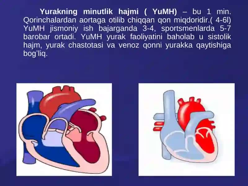 Yurakning sistolik va diastolik hajmlari 3