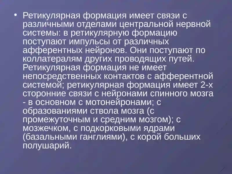 Ретикулярная формация 3