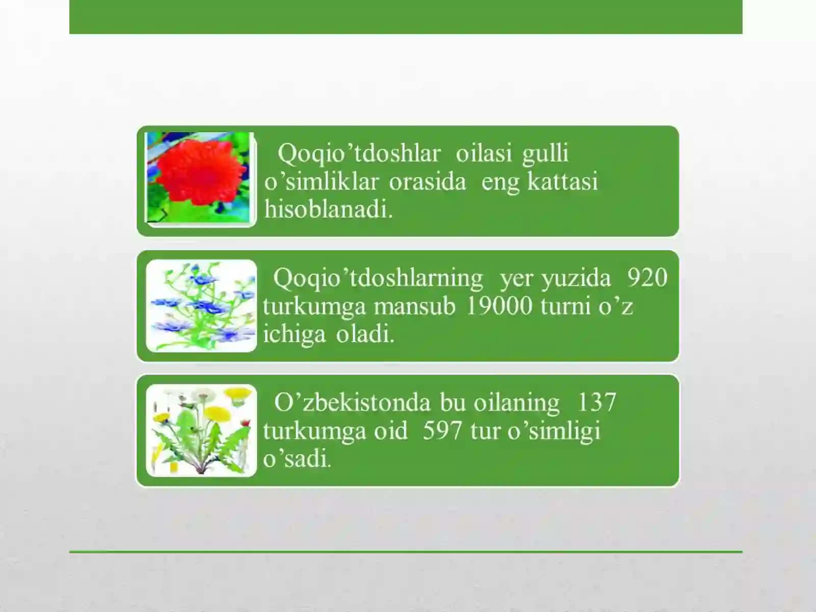 Qoqio’tdoshlar oilasi 3