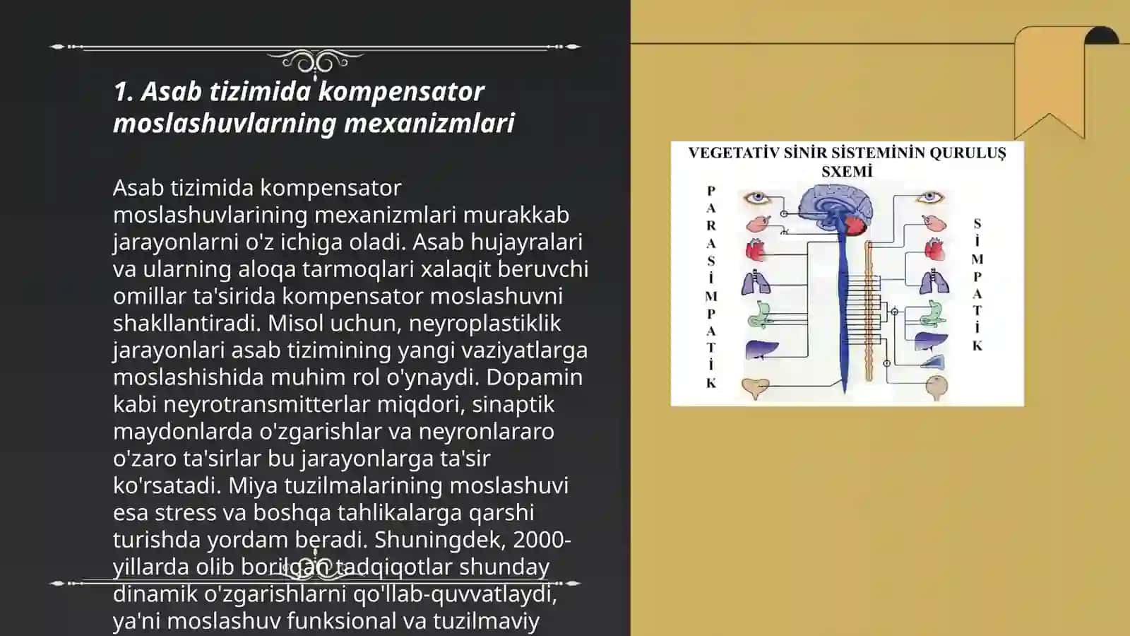 Asab tizimida kompensator moslashuvlar 3
