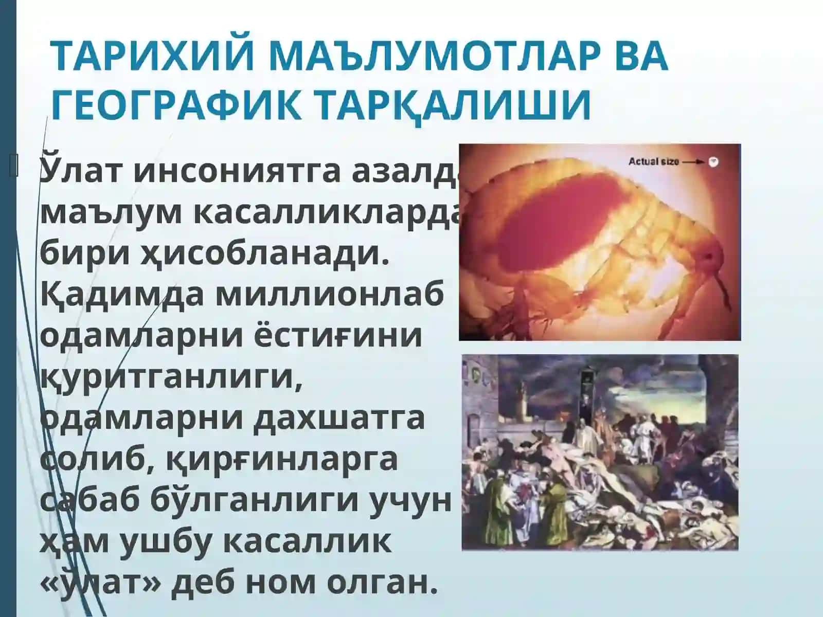 Улат 3