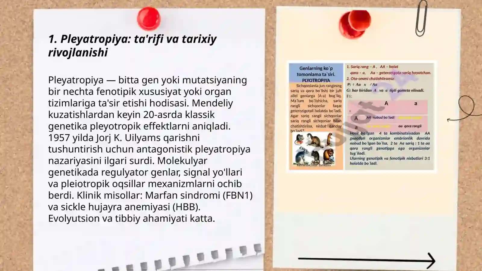 Pleyatropiya 3