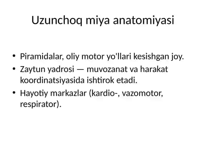 Miya pog'onalari va ularning ahamiyati 3