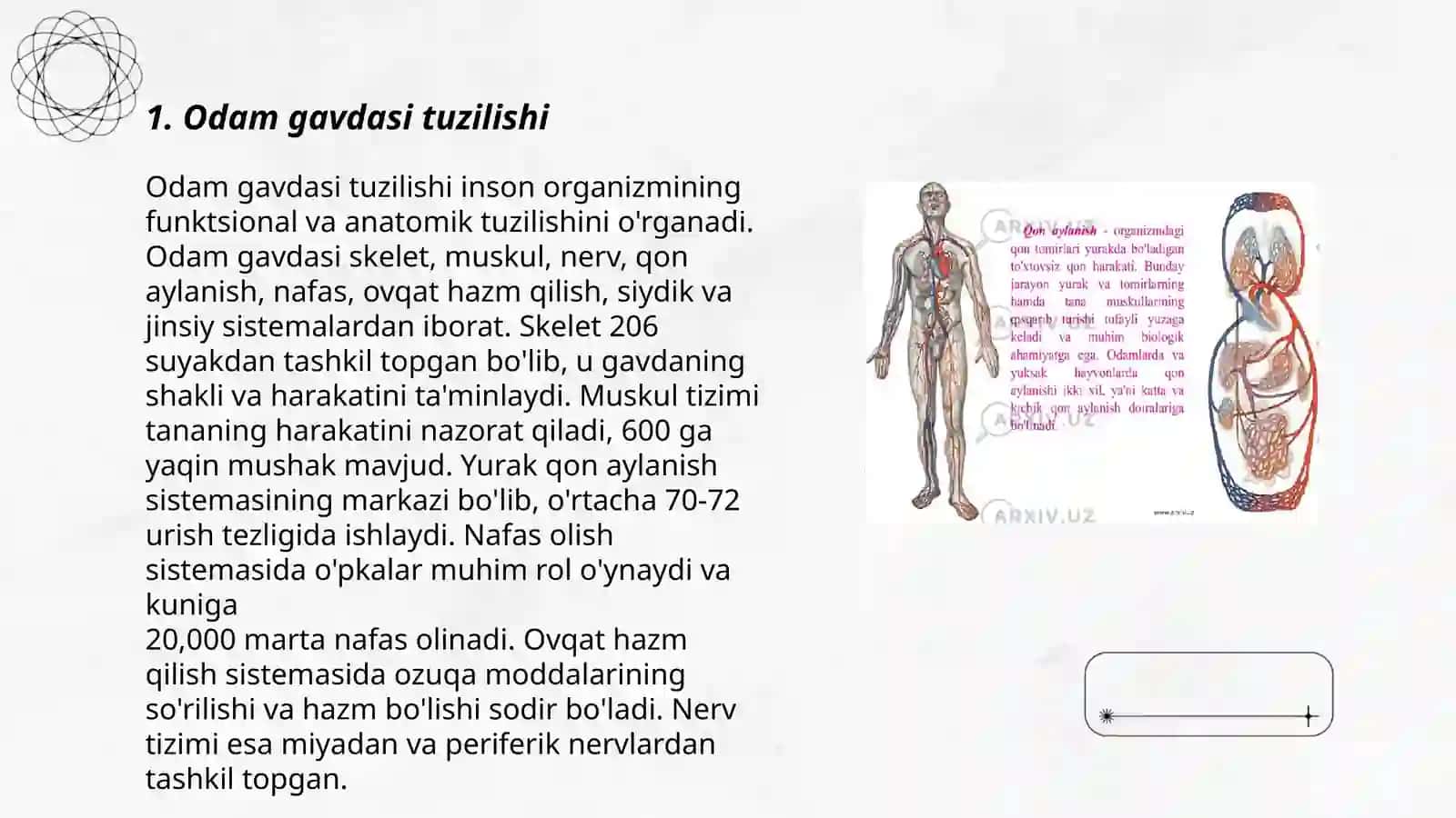 Odam gavdasi haqida umumiy ma'lumot 3