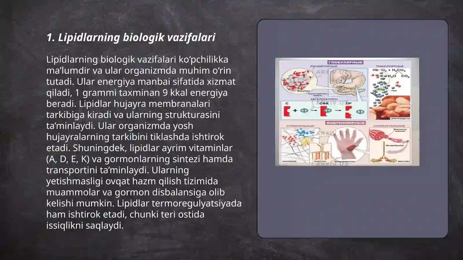 Lipedlar biokimyo 3