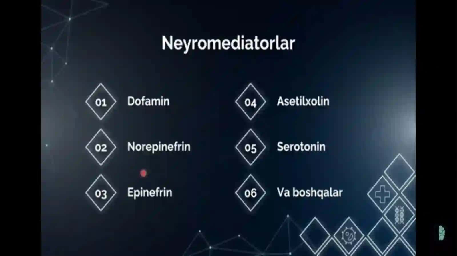 Neyromediatorlar biosintezi, ahamiyat va kasalliklari 3