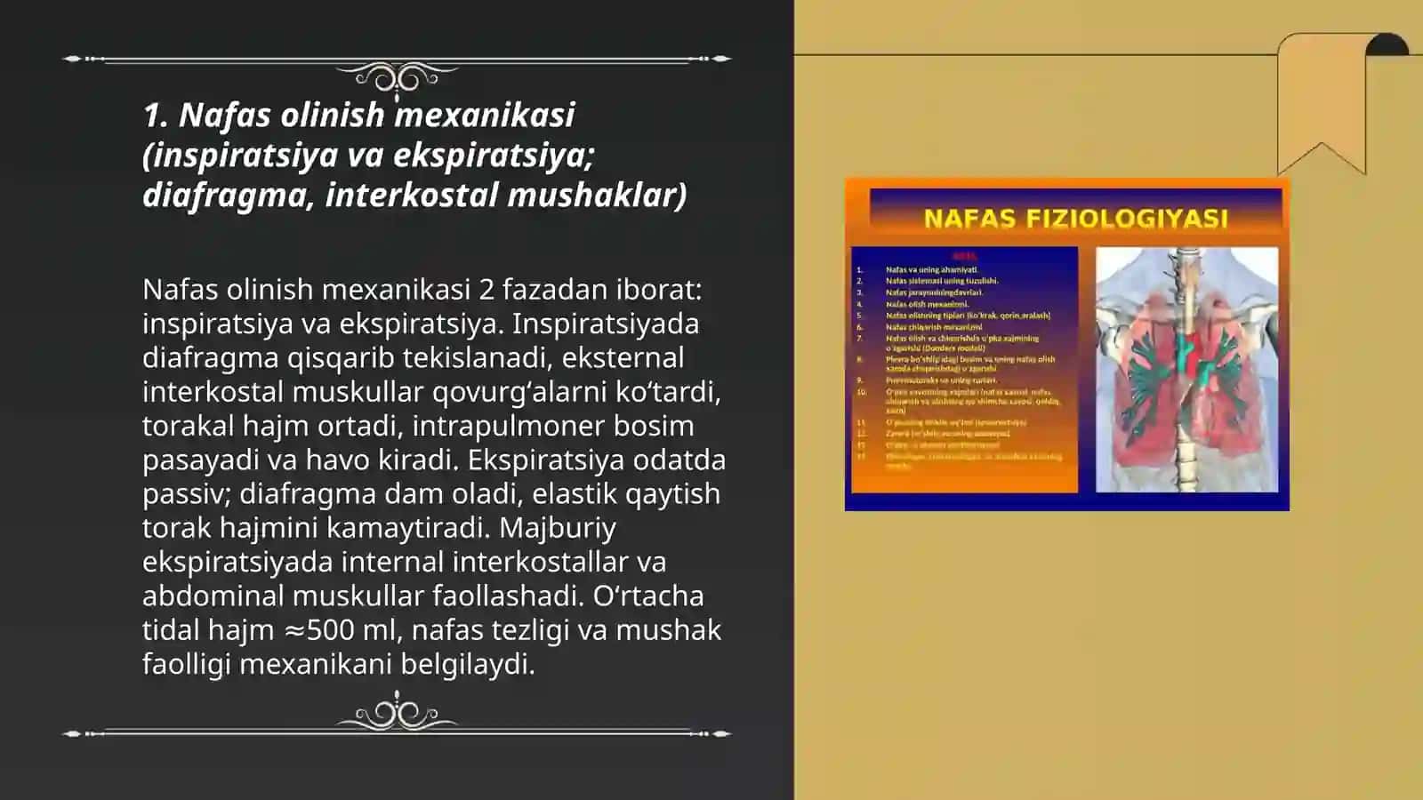 Nafas fiziologiyasi 3