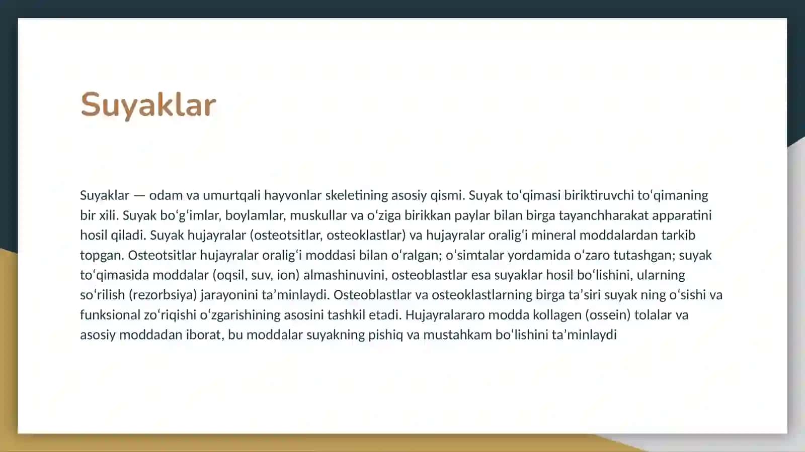 Suyaklar turları va vazıfaları 3