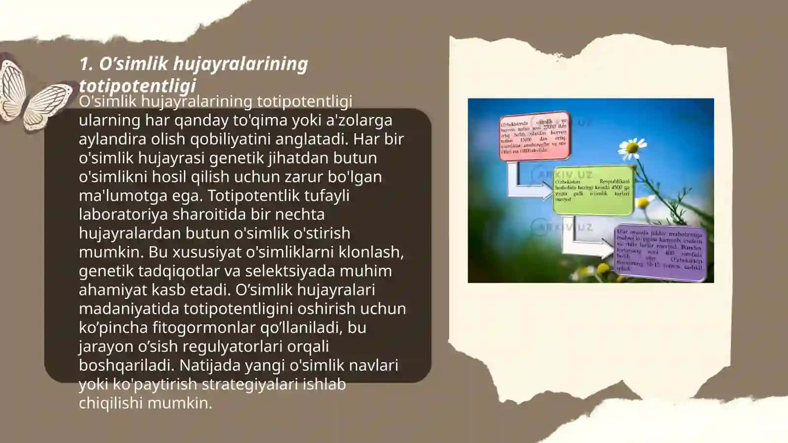 O’SIMLIKLARNI MIKROKLONLASH 3