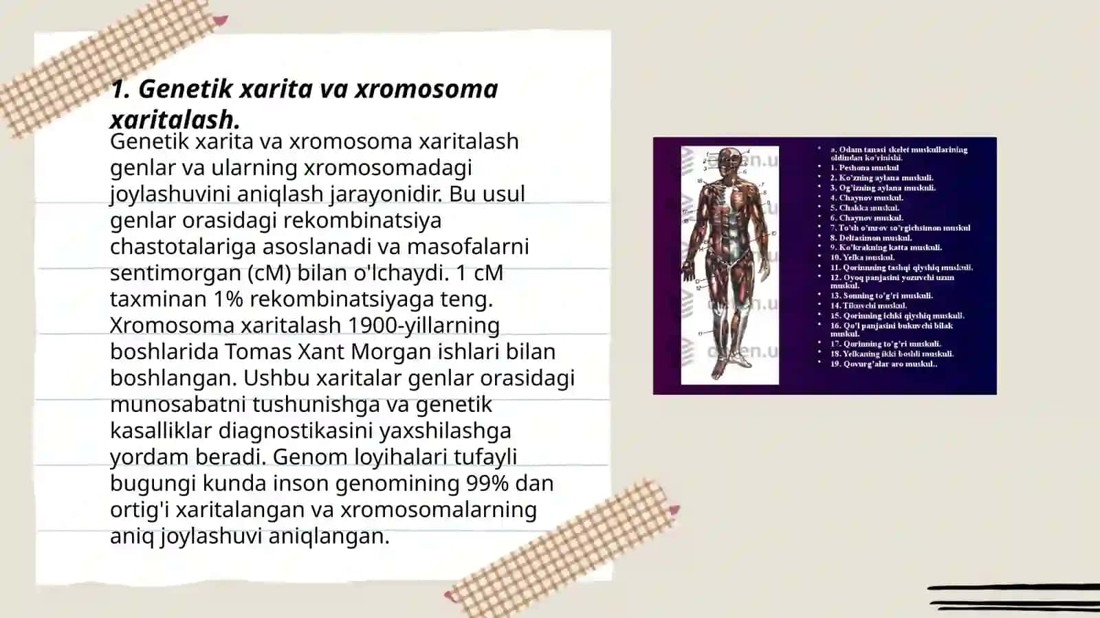 Genetik xarita. Odam xromosomalarini xaritalash usuli 3