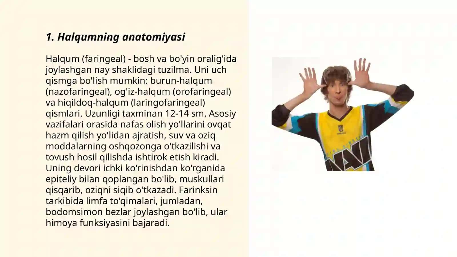 Halqumning anatomiyasi 3