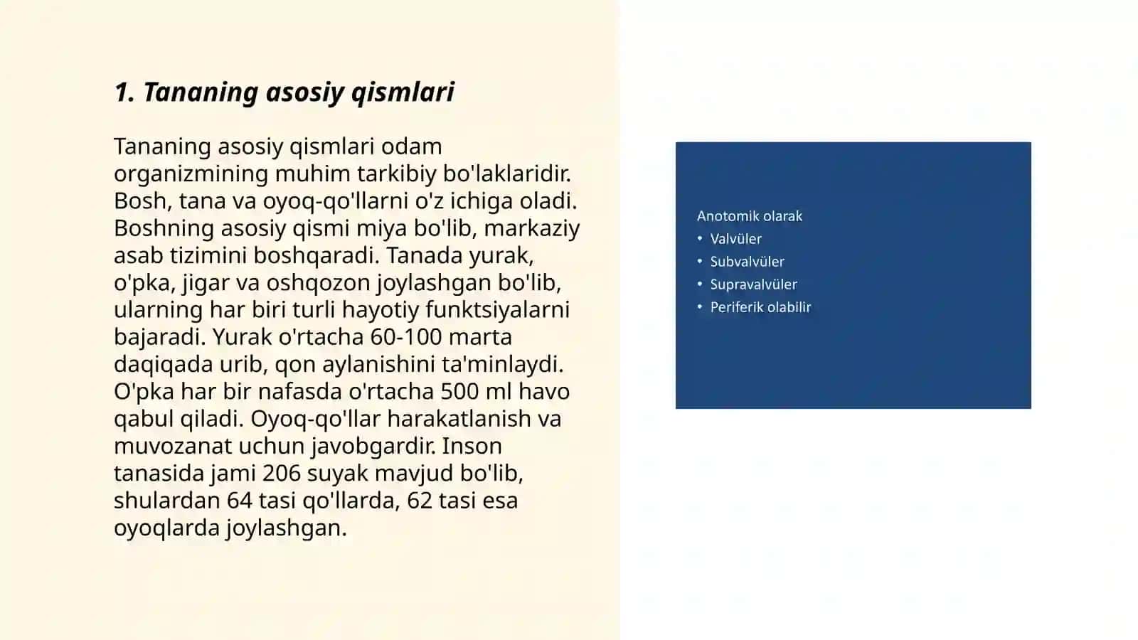 Anotomik iboralarning tarjimasi 3