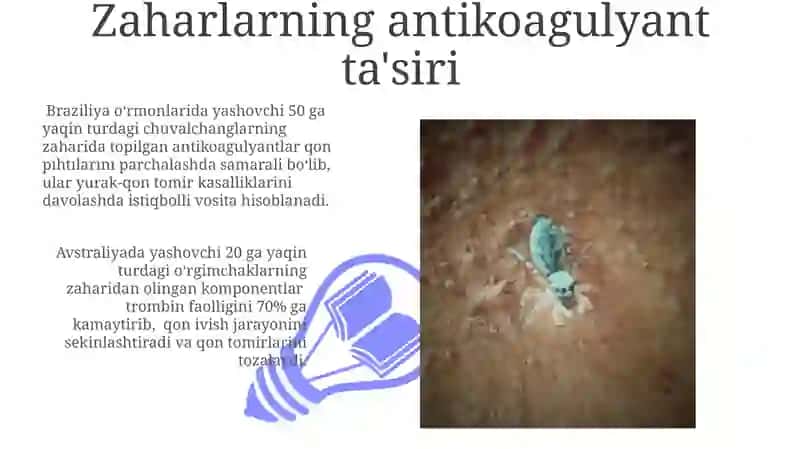 Zaharli Buğimoyoqlilarning Tibbiyotdagi Ahamiyati 3