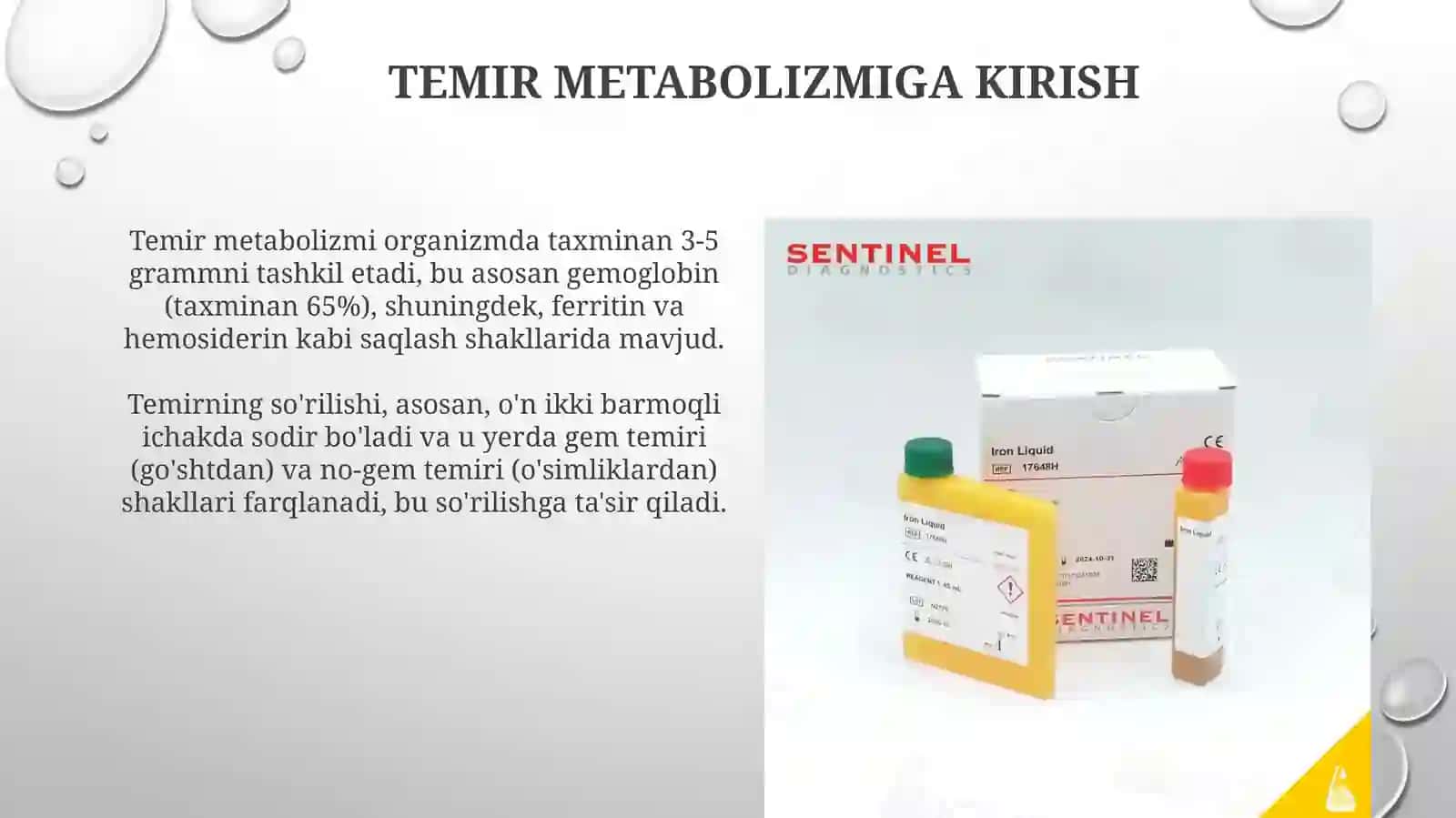 Temir almashinuvi,gemostaz 3