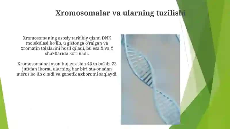 Umumiy genetika 3