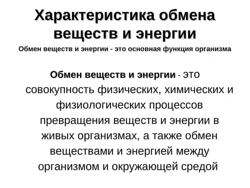 ФИЗИОЛОГИЯ 3
