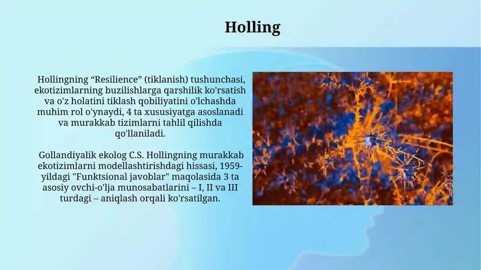 Konvolyutsion tarmoqlari(CHH) 3