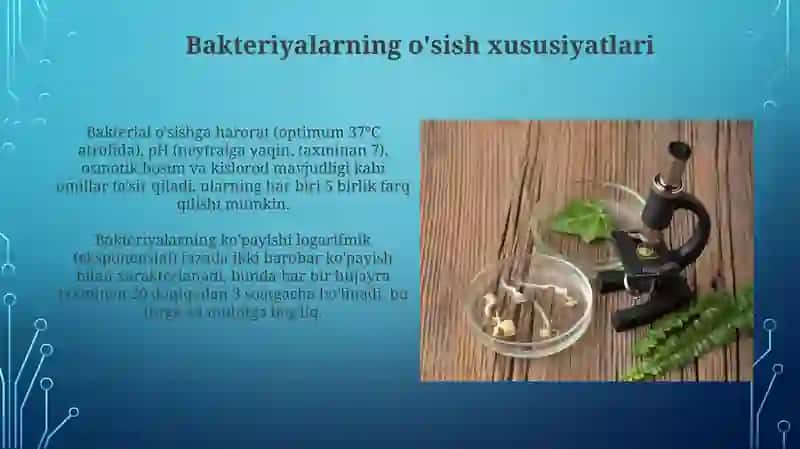 Bakteriyalarning o'sish xususiyatlari 3