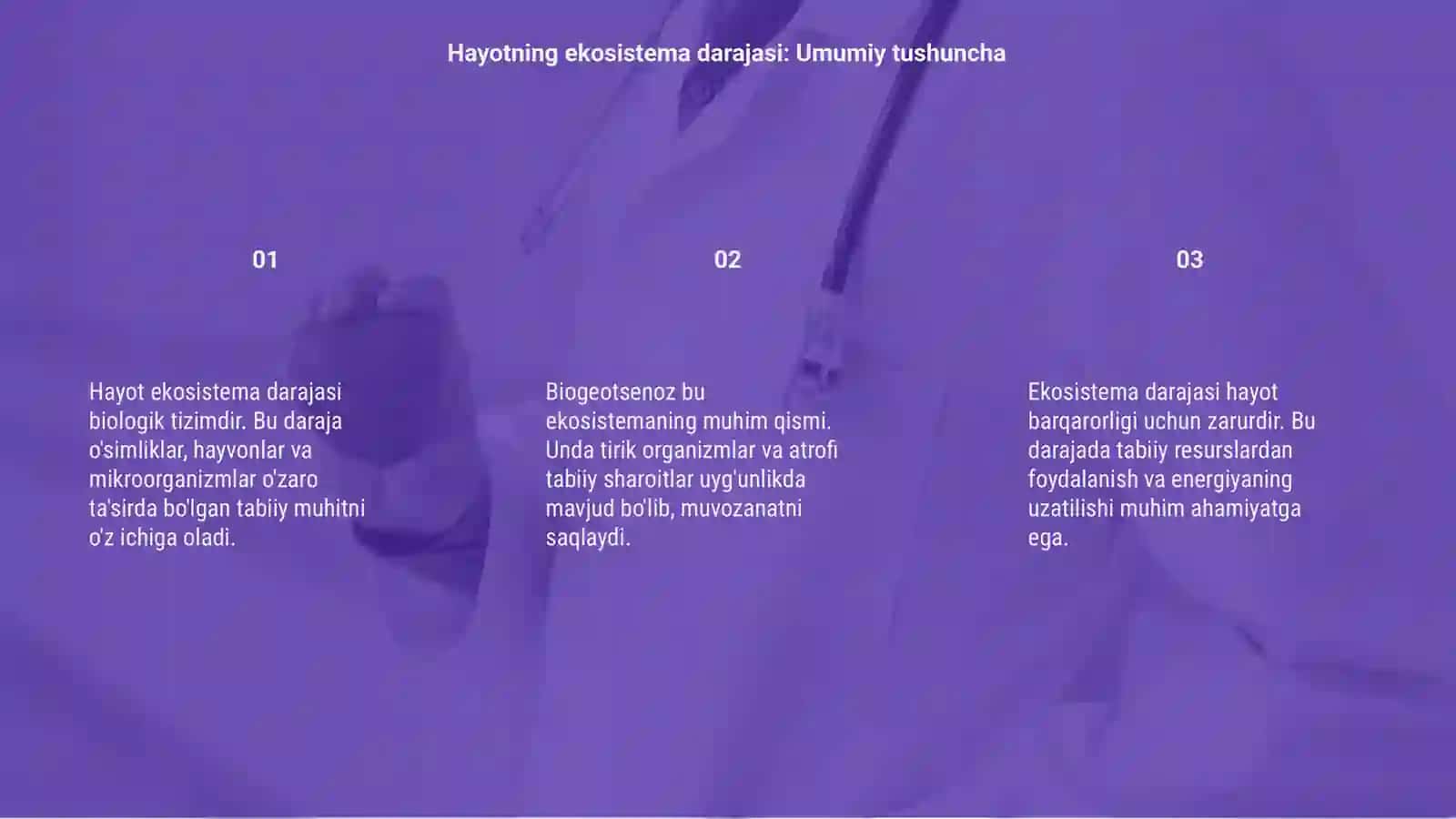 Hayotning ekosistema darajasi xususiyatlari 3