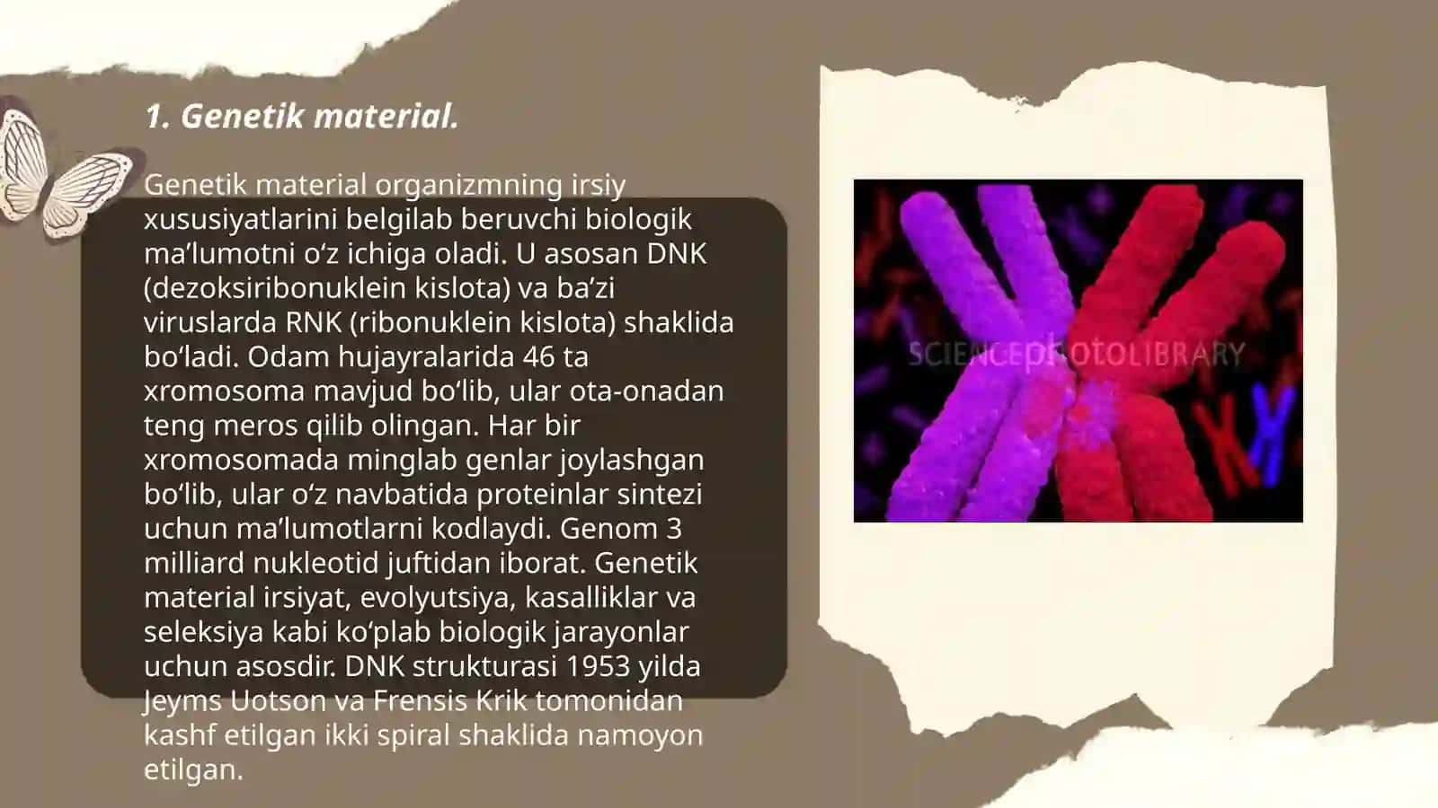 Genetik material 3
