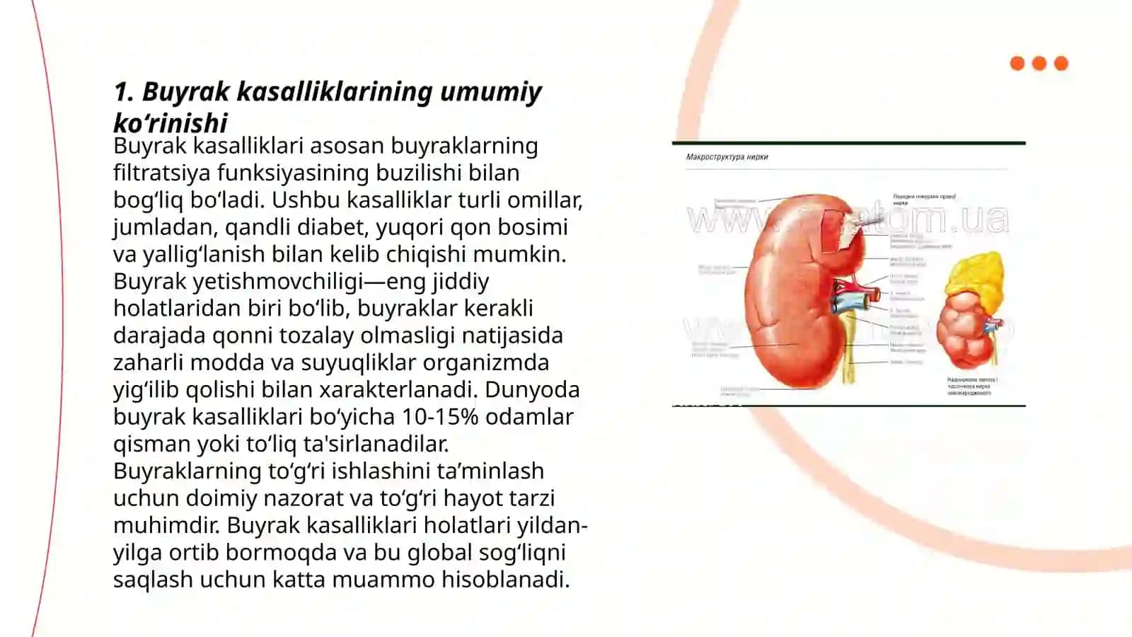 Suniy buyrak tushunchasi 3