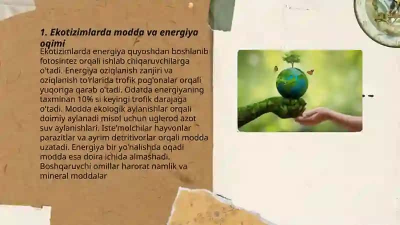 Ekotizimlarda modda va energiya oqimi 3