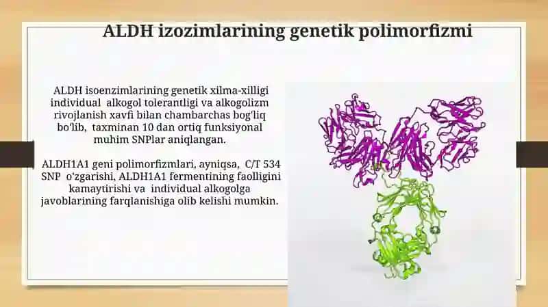Etanol metabolizmi, ALDG fermentining izoformalari 3