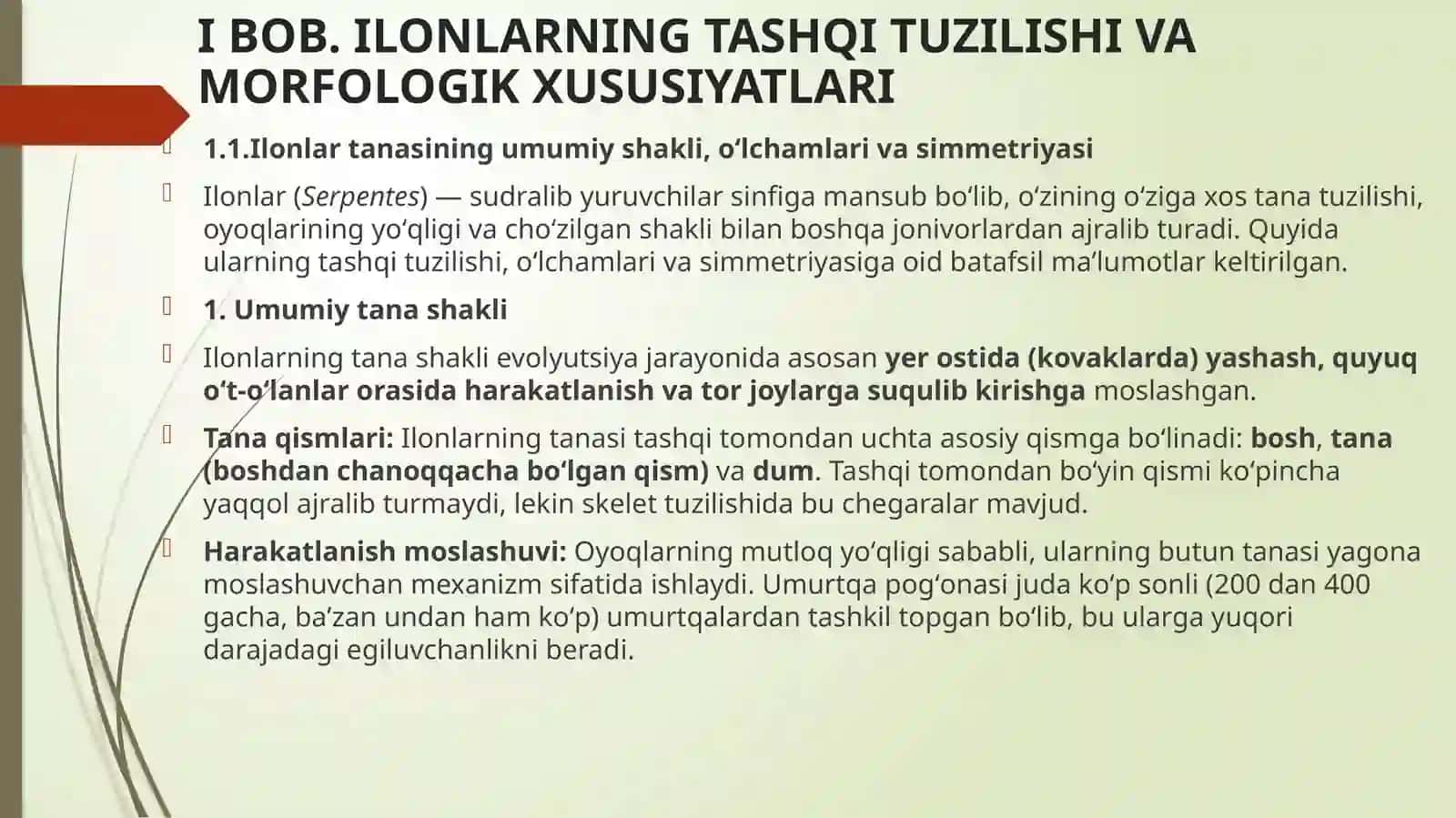 ILONLARNİNG TASHQİ İCHKİ TUZİLİSHİ 3