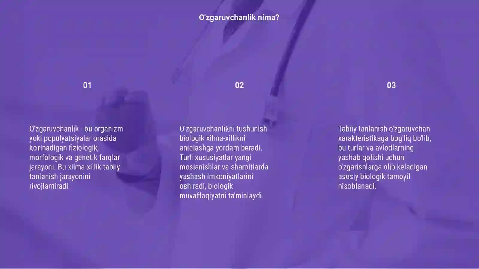 O'zgaruvchanlik - xilma-xillikni o'rganish 3