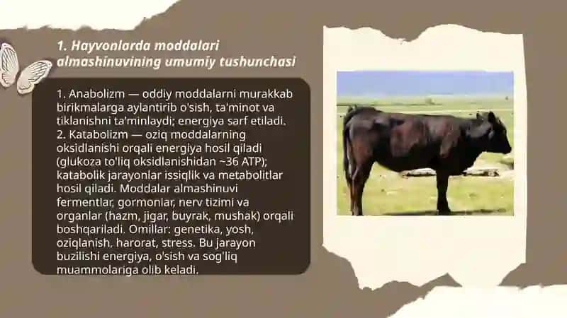 Hayvonlarni moddalari almashinuvini buzilishi 3