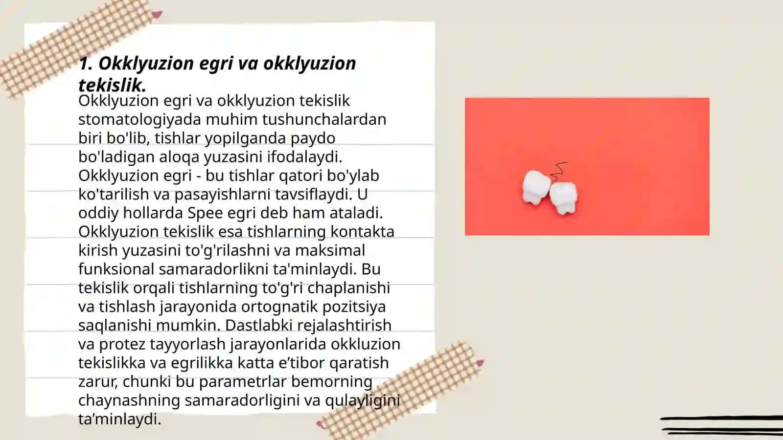 Tish, alveolyar va bazal yoylar haqida tushuncha 3
