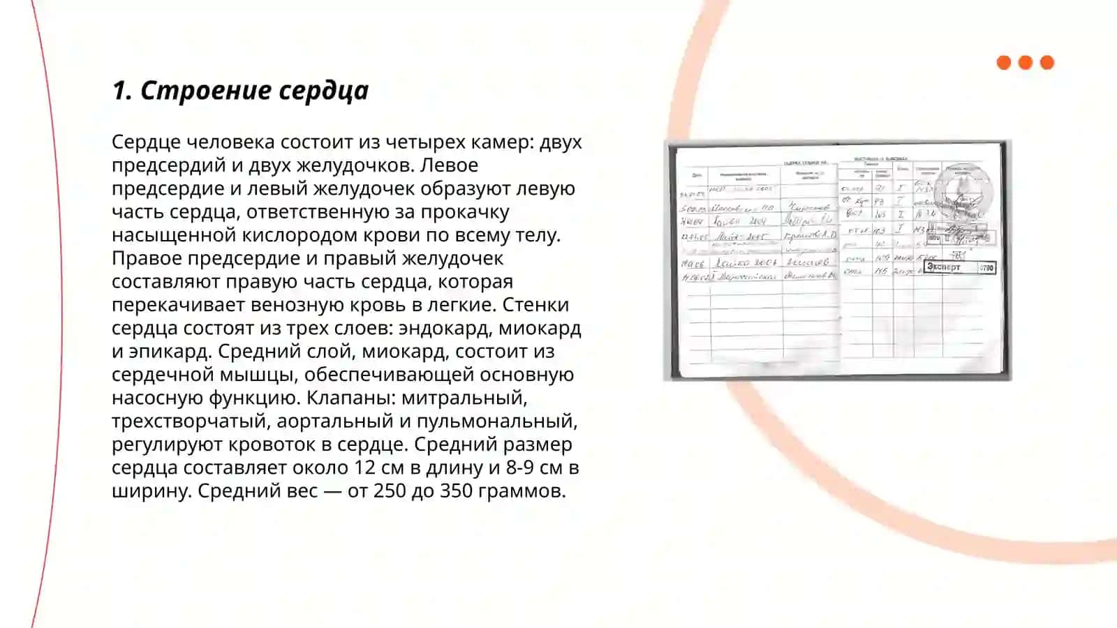 Система кровообращения 3