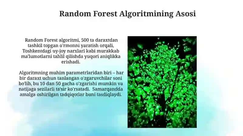 Tasodifiy o'rmon algoritmi 3