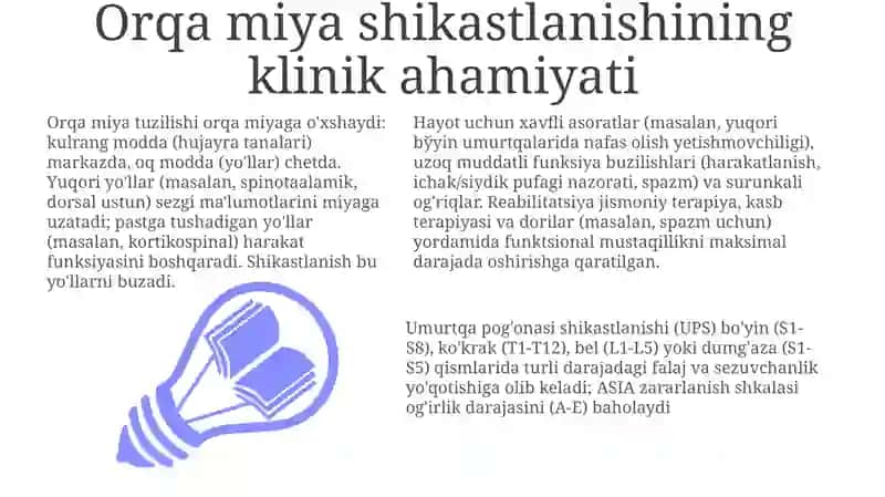 Orqa miyyaning tuzulishi va funksiyasi 3