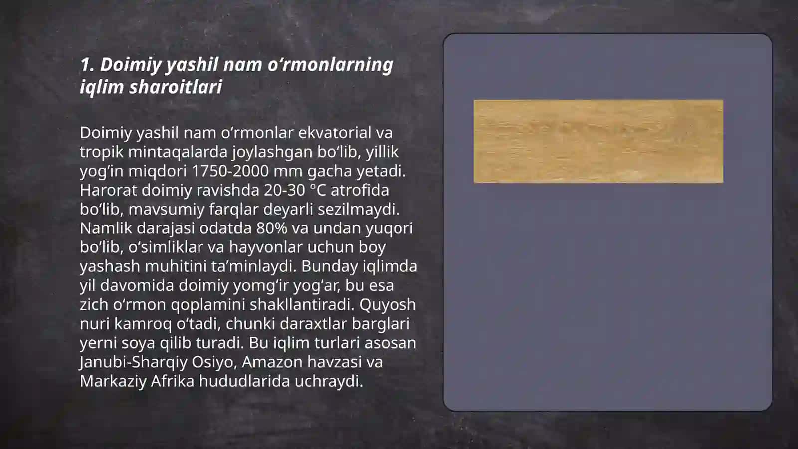 Doimiy yashil nam oʻrmonlar va savannalar 3