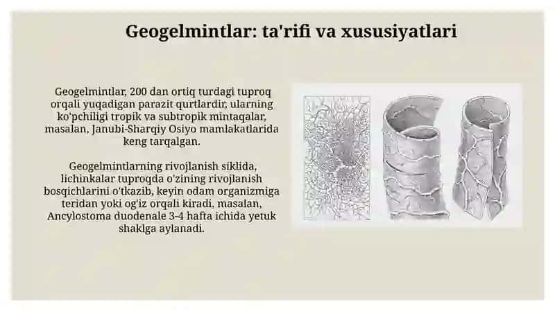 Gelmitologiya 3