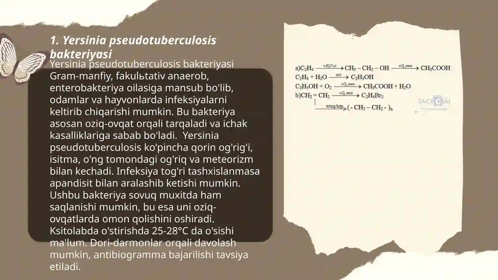 Psevdotuberkuloz qòzģatuvchisining laboratoriya diagnostikasi 3