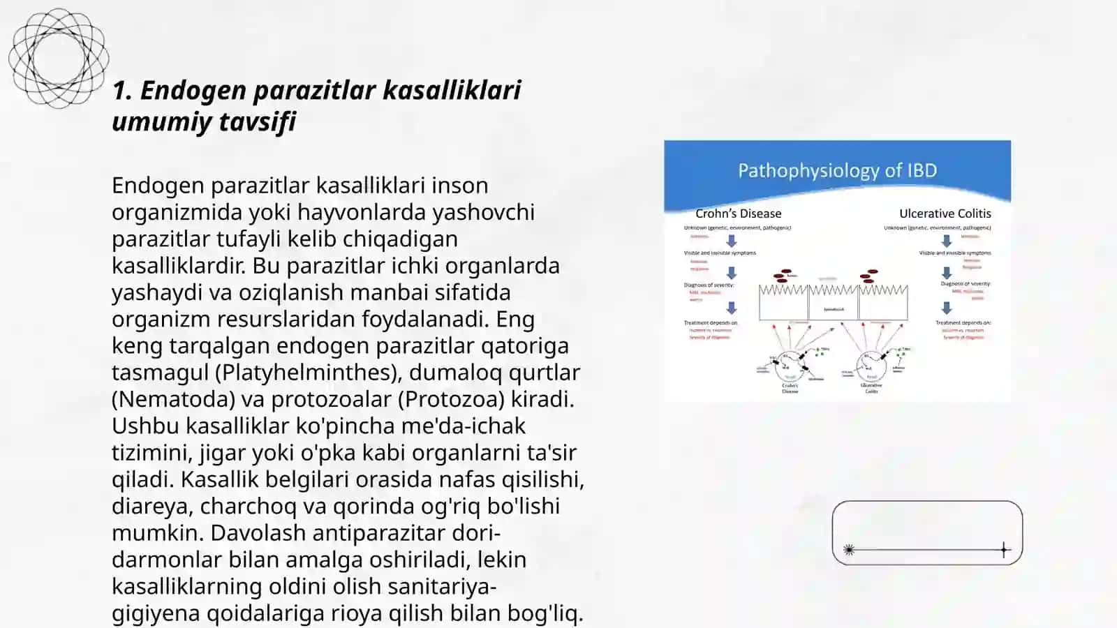 Endogen parazitlar kasalliklari 3