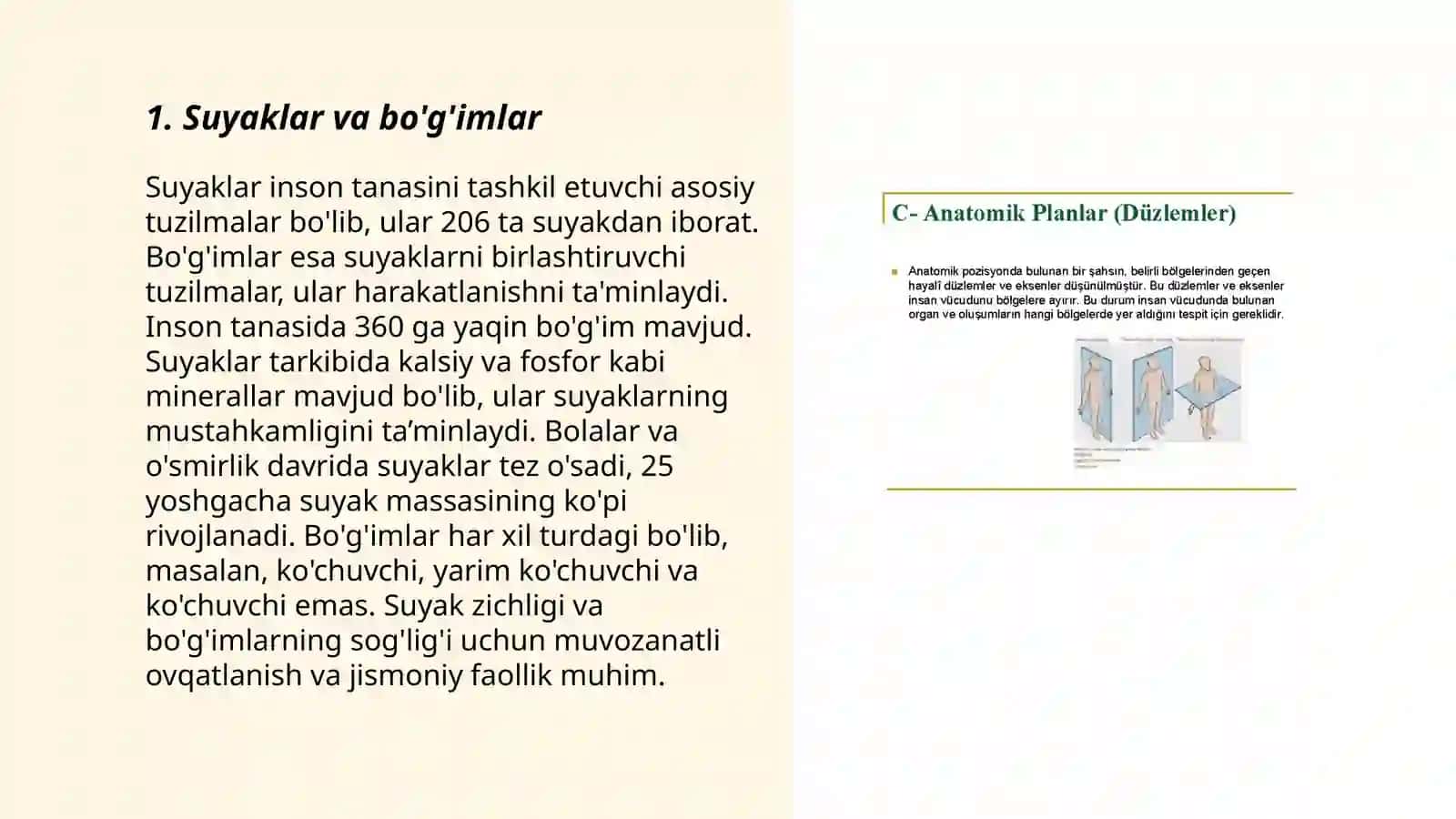 Anatatomik terminlarni lotinchada nomlanishi 3