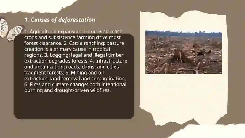 Deforestation 3