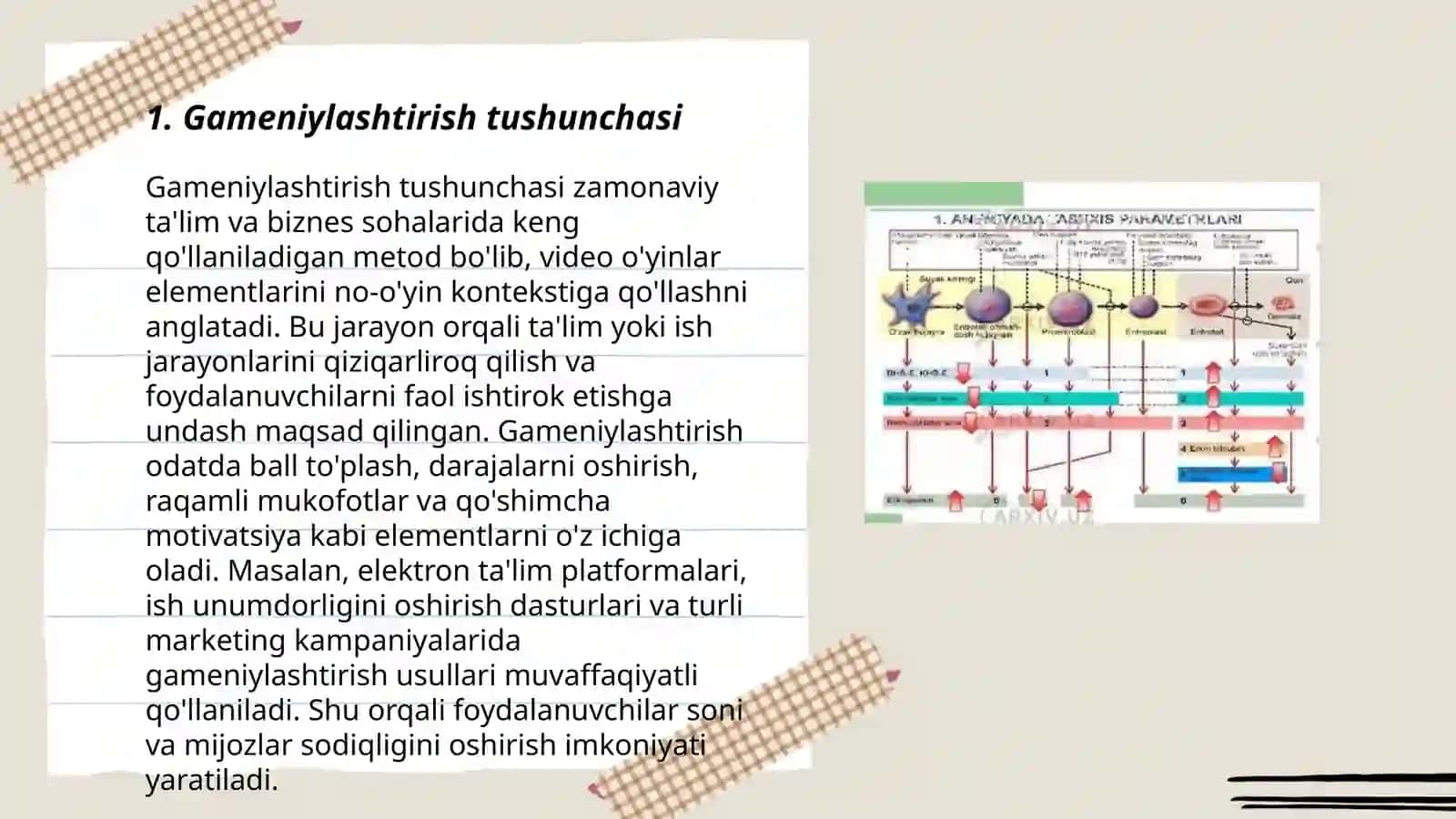 Gametagenez bosqichlari 3