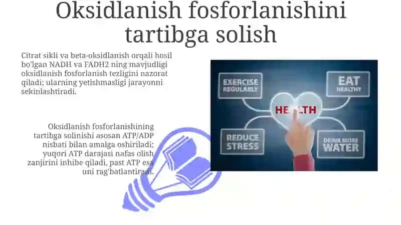 Energiya almashinuvi 3