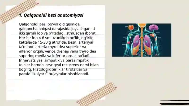 Qalqonoldi bezi anatomiyasi 3