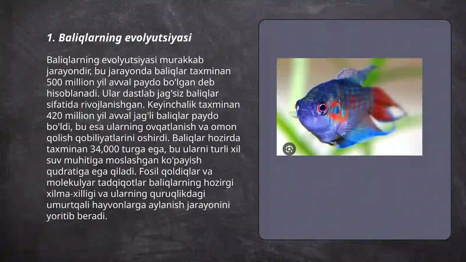 Baliqlar sistematikasi 3