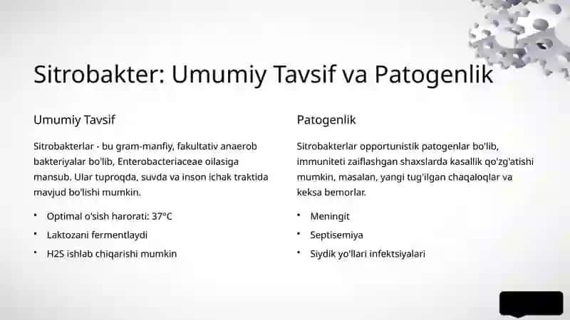 Shartli patogen diarreogen ichak gruppa bakteriyalari 3