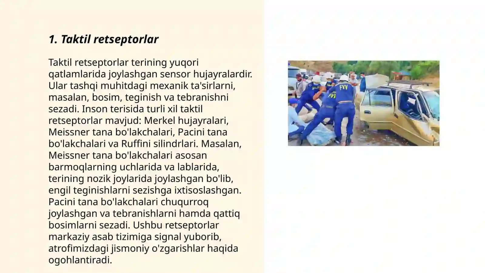 Taktil va harorat retsepsiyasi 3