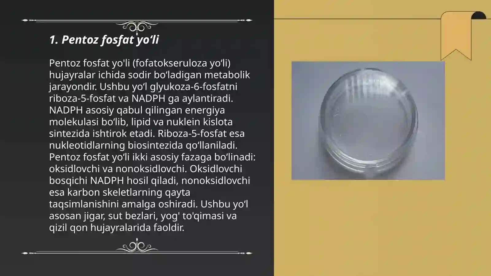 Pentoz fosfat yo‘li 3