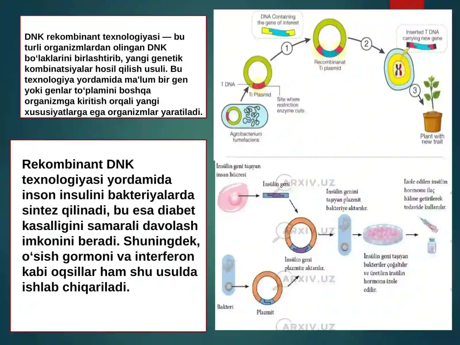 Tibbiyotda DNK rekombinantlarining qoʻllanilishi 3