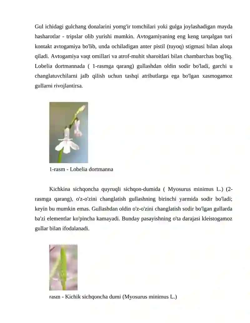 Gulli o'simliklarning changlanishi va urug'lanishi 3
