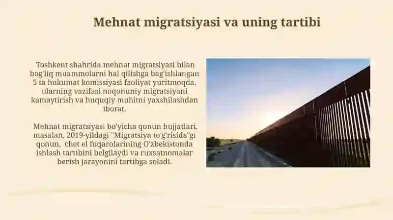 Mehnat migratsiyasi va uning tartibi 3